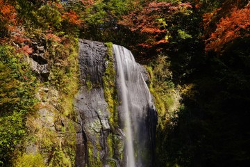 Fototapeta na wymiar 秋を迎える遊水峡の滝