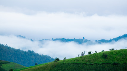 Obraz premium The view of rice terrace with fog on mountains background