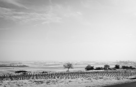 paysage sous la neige en Bourgogne