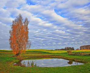 Jesienny Staw © Wojciech Lisiński