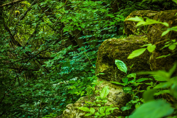 природа и камни 