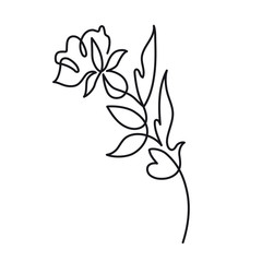 Continuous one line drawing. Beautiful rose flower logo. Vector illustration. Concept for logo, card, banner, poster, flyer