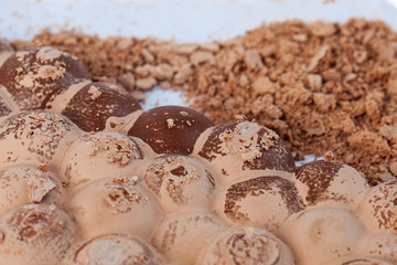 Broken milky porous chocolate, sweets and desserts