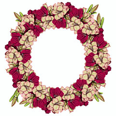 frame with flowers amaryllis