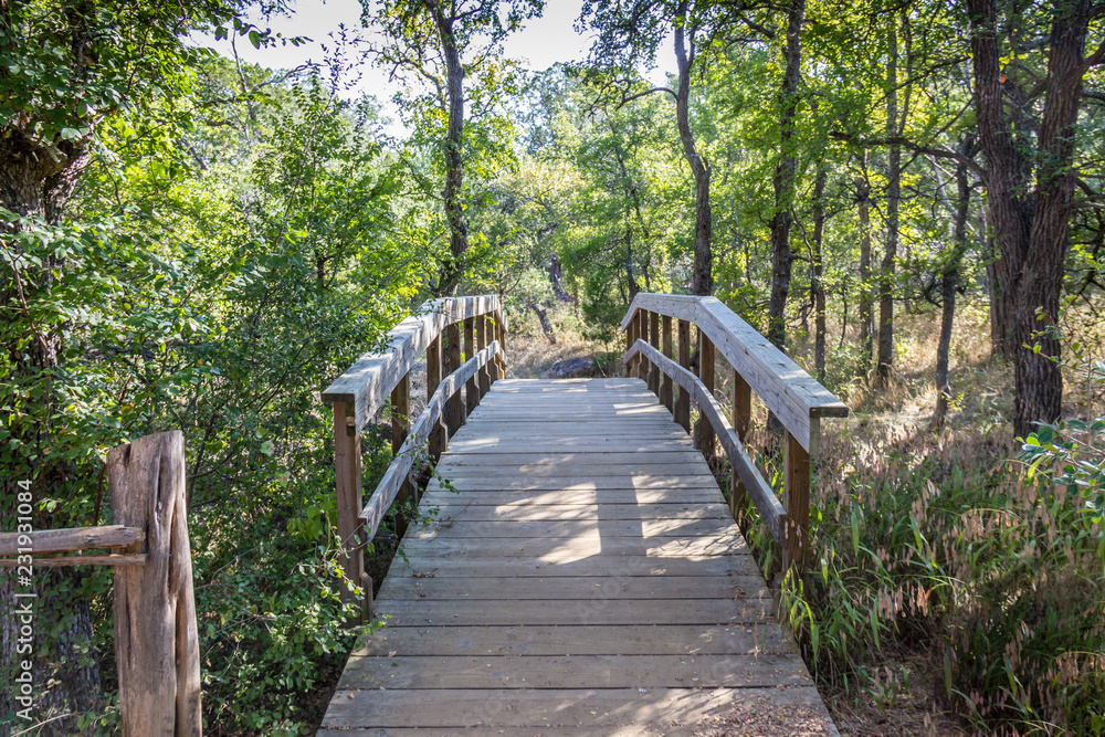 Wall mural wooden bridge in the forest