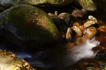 色着いて来た秋の遊水峡