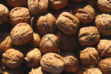 A lot of ripe walnuts dry in the sun. Autumn harvest. Natural and healthy food. Beautiful natural texture. Photo background.