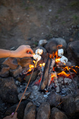 Cooking marshmallow on sticks on a fire.