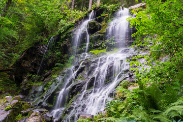 Germany, Cold shower of Zweribach waterfall near Freiburg in black forest nature reserve