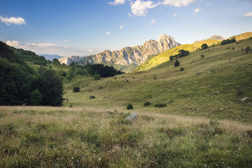 Obraz premium Mt. Pizzo d'Uccello in the Apuan Alps Regional Park