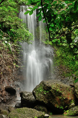 Cascade dans la forêt, Guadeloupe