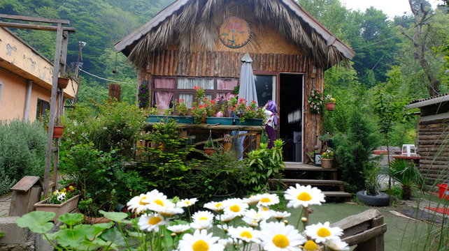 house in the garden