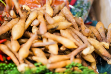 Boesenbergia pandurata or Krachai is a spice vegetable for Thai cooking.