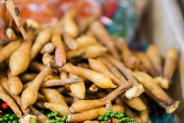 Boesenbergia pandurata or Krachai is a spice vegetable for Thai cooking.