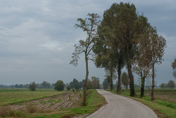 Obraz premium paesaggio di campagna in autunno