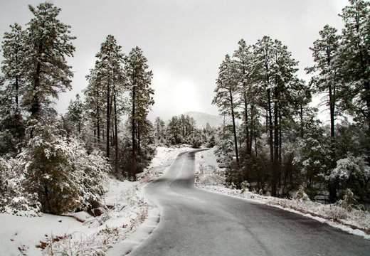 A road through the snow cover trees