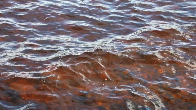 The surface of the lake with clear water, Sweden
