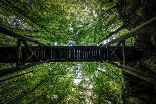 Fototapeta under the eooden bridge  