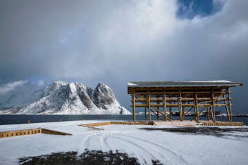 Drying flakes for stockfish cod fish in winter. Lofoten islands,