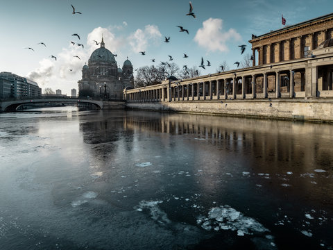 Vögel über der Spree
