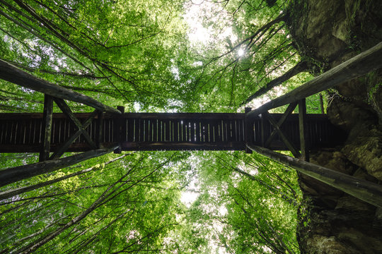 Fototapeta under the eooden bridge  