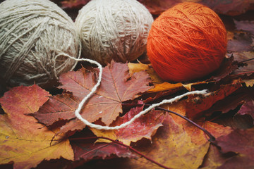 warm autumn knitted clothes with threads and leaves