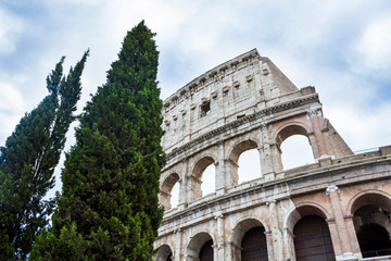 Obraz premium Colosseum in in Rome