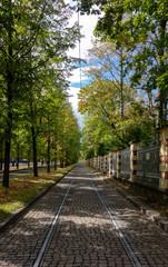 Tree-lined tram line in Prague