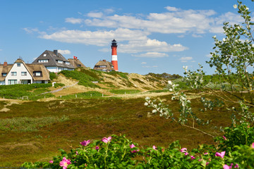 Fototapeta na wymiar Sylt Leuchtturm in der Heide im Süden der Insel mit Reetdächern