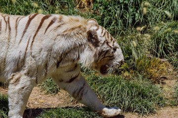 terra natura © FRANCISCO