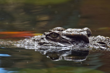 terra natura © FRANCISCO