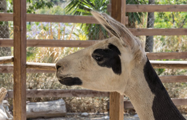 terra natura © FRANCISCO