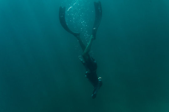 Diver hunting with underwater spear gun