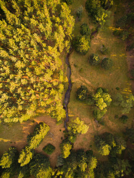 Aerial shoot of woods from Soria, Spain.