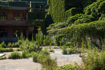 Houtouwan, China's ghost fishing village swallowed by nature. Situated in the Shengshan Island, about 40 miles from Shanghai, it was once an active settlement and has been abandoned for years.