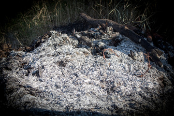 Air Pollution  The Burning Waste Land.