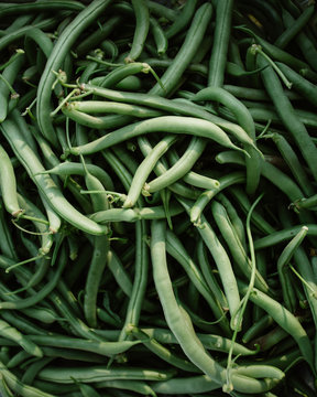 Fresh picked green beans.