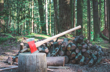 axe in log