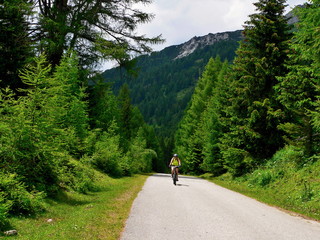 Austrian Alps-cyclists in the valley Riedingtal