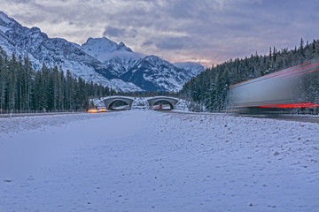 Animal Overpass on the Trans Canada Highway