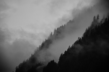 Mystic fog over forset in mountains