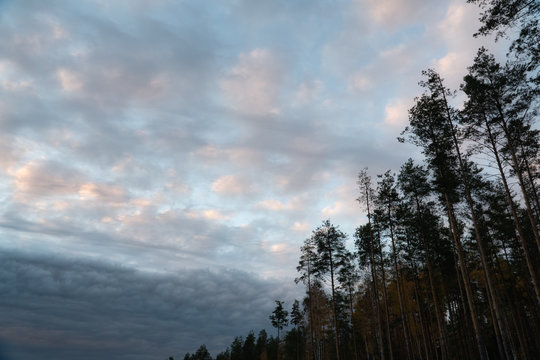 Sky with clouds and trees