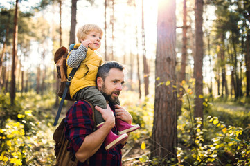 A mature father giving a toddler son a piggyback ride in an autumn forest.