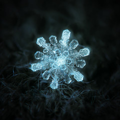 Snowflake glowing on dark gray textured background. Macro photo of real snow crystal: rare stellar...