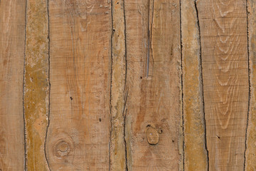 Obraz premium Vertical slats, old wooden texture