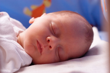 Baby sleeping in crib. Peaceful baby lying on a bed while sleeping in a bright room with his teddy bear