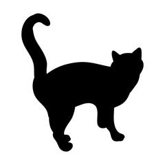 isolated, black silhouette of a cat is standing
