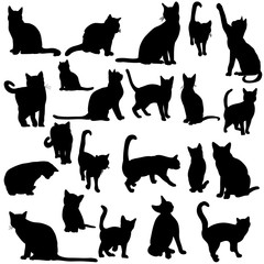 silhouette of the cat set