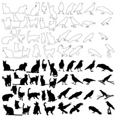 silhouette cat and bird, crow, collection