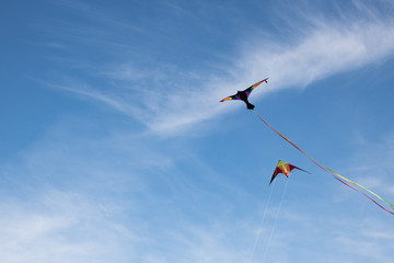 Zwei Drachen fliegen durch Windkraft